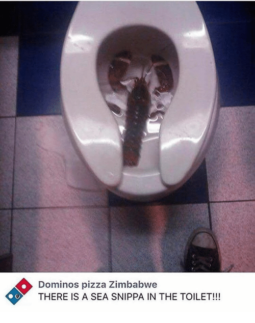 there's a sea snippa in the toilet - Dominos pizza Zimbabwe There Is A Sea Snippa In The Toilet!!!