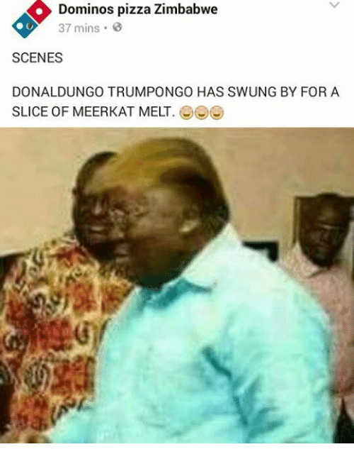 african trump - Dominos pizza Zimbabwe 37 mins. Scenes Donaldungo Trumpongo Has Swung By For A Slice Of Meerkat Melt. Ooo