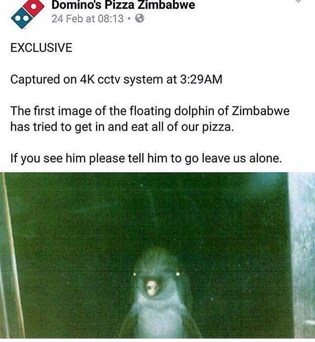 dominos pizza zimbabwe - Domino's Pizza Zimbabwe 24 Feb at Exclusive Captured on 4K cctv system at Am The first image of the floating dolphin of Zimbabwe has tried to get in and eat all of our pizza. If you see him please tell him to go leave us alone.