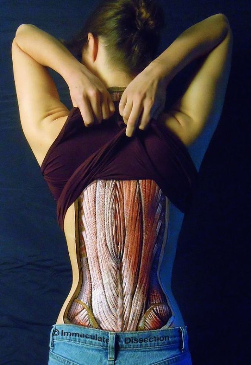 Guy Creates Live Anatomy Models