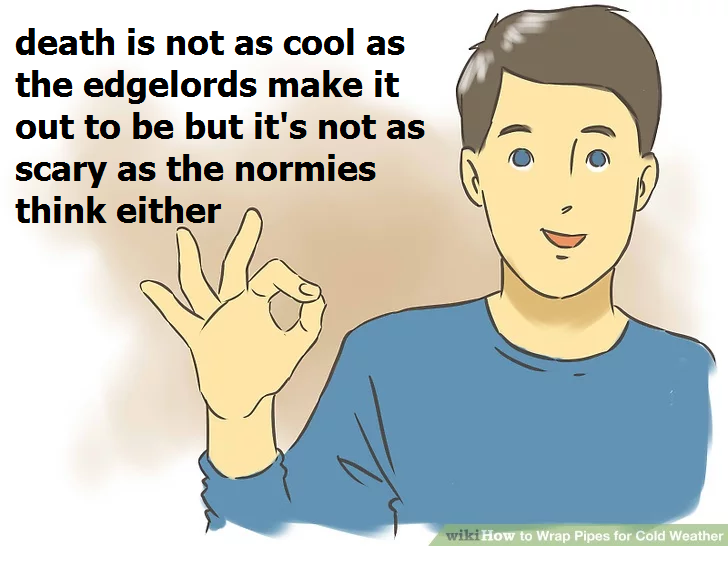 cartoon - death is not as cool as the edgelords make it out to be but it's not as scary as the normies think either wikiHow to Wrap Pipes for Cold Weather
