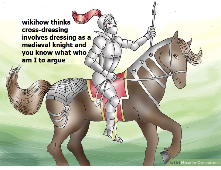 cartoon - wikihow thinks crossdressing involves dressing as a medieval knight and you know what who am I to argue wiki How to Crossdress
