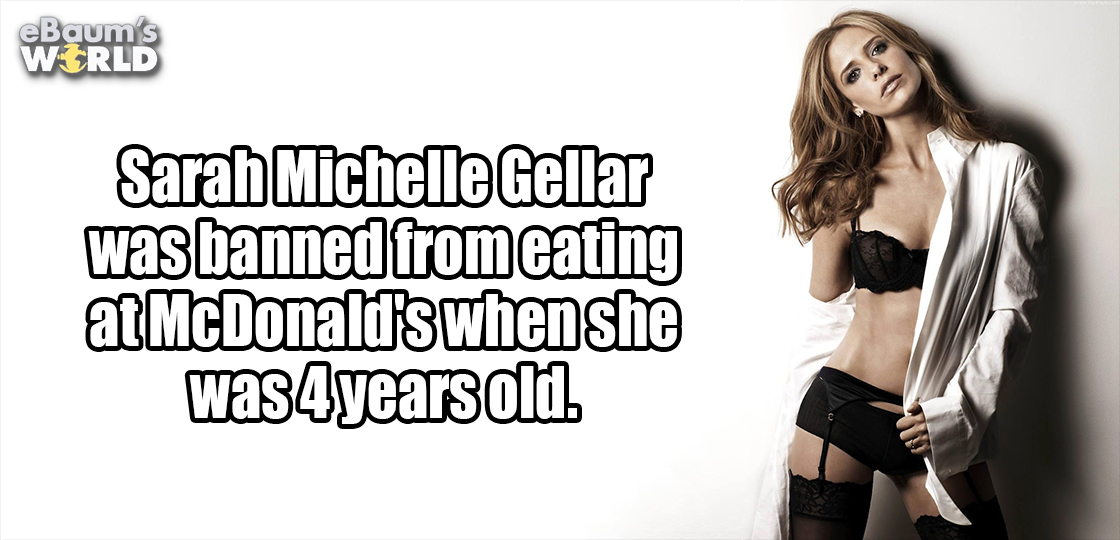 sarah michelle gellar lingerie shots - eBaum's World Sarah Michelle Gellar was banned from eating at McDonald's when she was 4 years old