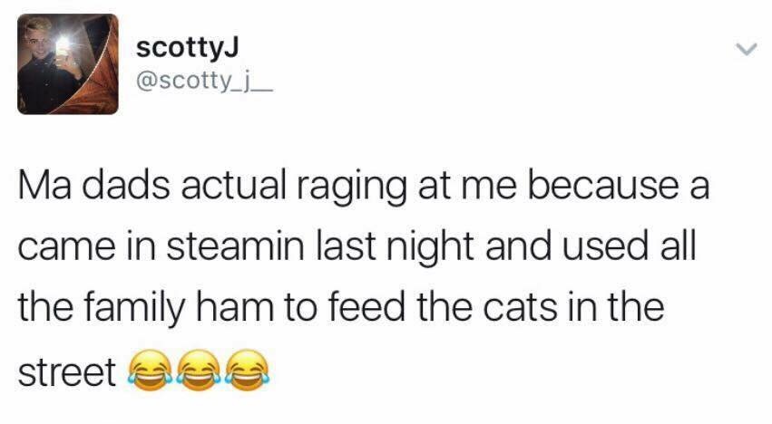 My dad is really angry at me because I came in drunk last night and fed all the ham in the fridge to the cats in the street