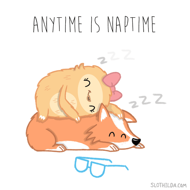 20 Relatable Truths Illustrated With A... Sloth