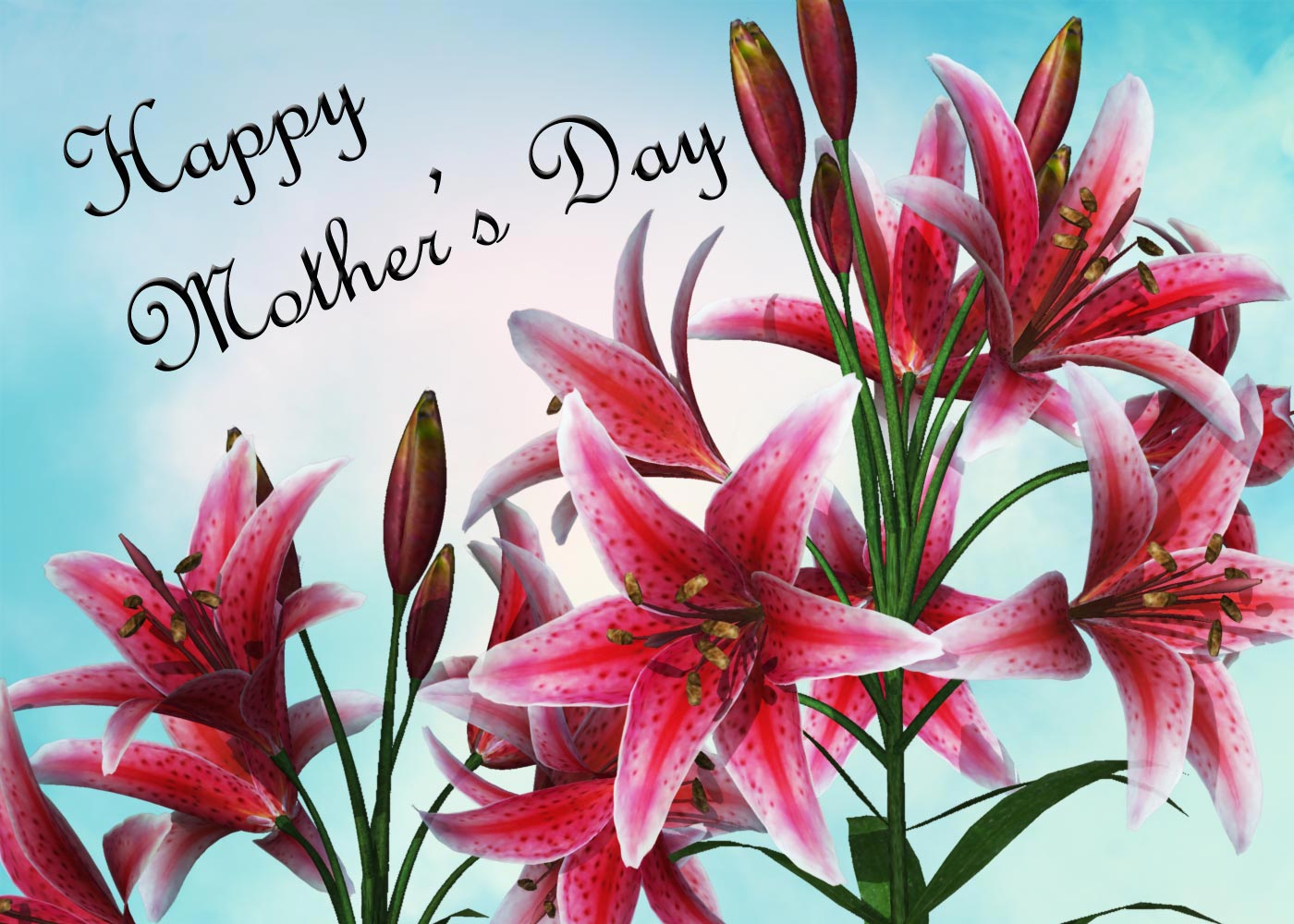 Common Mother's Day gifts include: cards, flowers, meals in restaurants, jewelry, gift cards, clothing, trips to a spa, books, CDs, housewares and even gardening tools. But remember- love is the most important of gifts.