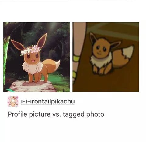 photo caption - iiirontailpikachu Profile picture vs. tagged photo