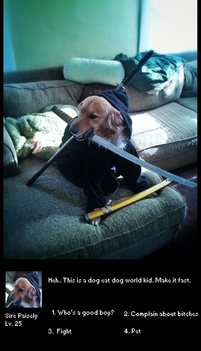 studied the blade memes - Hch.. This is a dog cat dog world kid. Make it fort. 1. Who's a good boy? 2. Complain about bitches Sirc Paisely Lv. 25 3. Fight 4. Pet