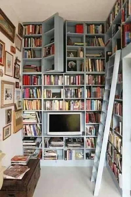 hidden bookshelves
