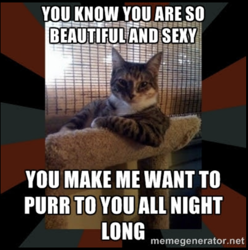 what's new pussycat meme - You Know You Are So Beautiful And Sexy You Make Me Want To Purr To You All Night Long memegenerator.net