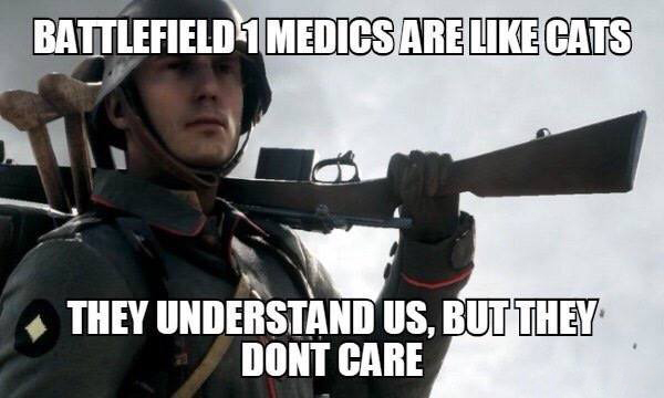 battlefield memes - Battlefield 1 Medics Are Cats They Understand Us, But They Dont Care