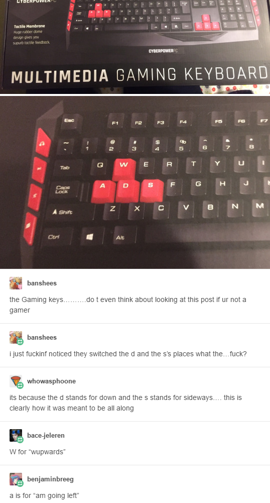 am going left - Multimedia Gaming Keyboard shoes the Gaming kys gamer even think about booking at this post ir nota hans truckin noticed they switched the d and the s's places what the fuck? whowsphone this is because the stands for down and the stands fo