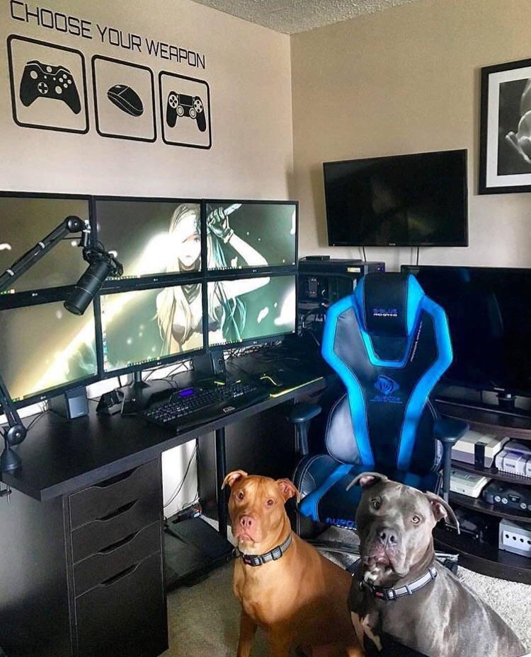 gaming setup instagram - Choose Your Weapon
