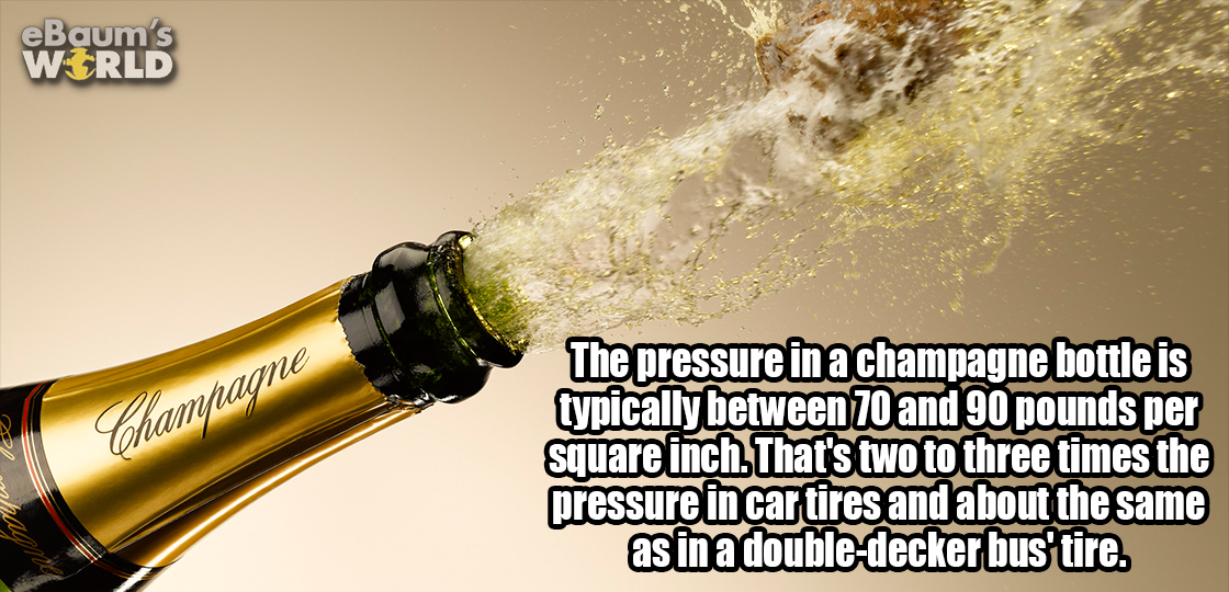 21 Fascinating Facts To Slaughter Your Ignorance
