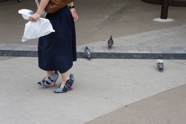 Either way, the pigeons love them...