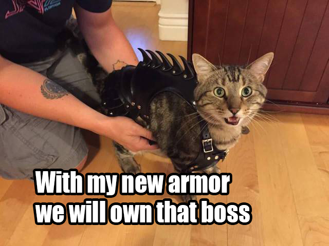 come get some meme - With my new armor we will own that boss