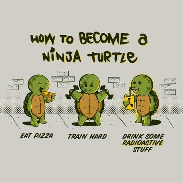 become a ninja turtle - How To Become a Ninja Turtle Oxyge Eat Pizza Train Hard Drink Some Radioactive Stuff