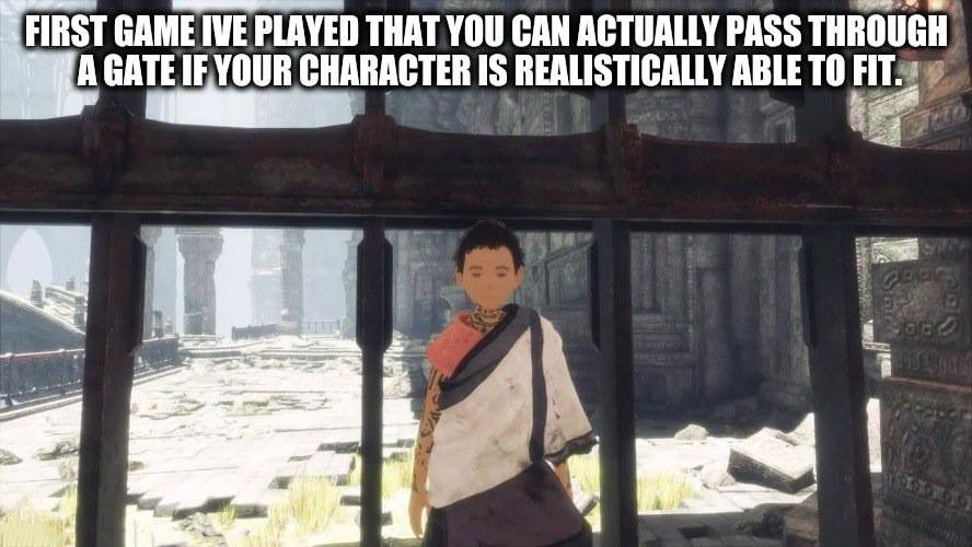 last guardian memes - First Game Ive Played That You Can Actually Pass Through A Gate If Your Character Is Realistically Able To Fit.