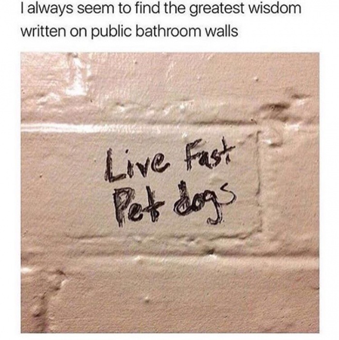 bathroom wall writing - I always seem to find the greatest wisdom written on public bathroom walls Live fast Pet dogs