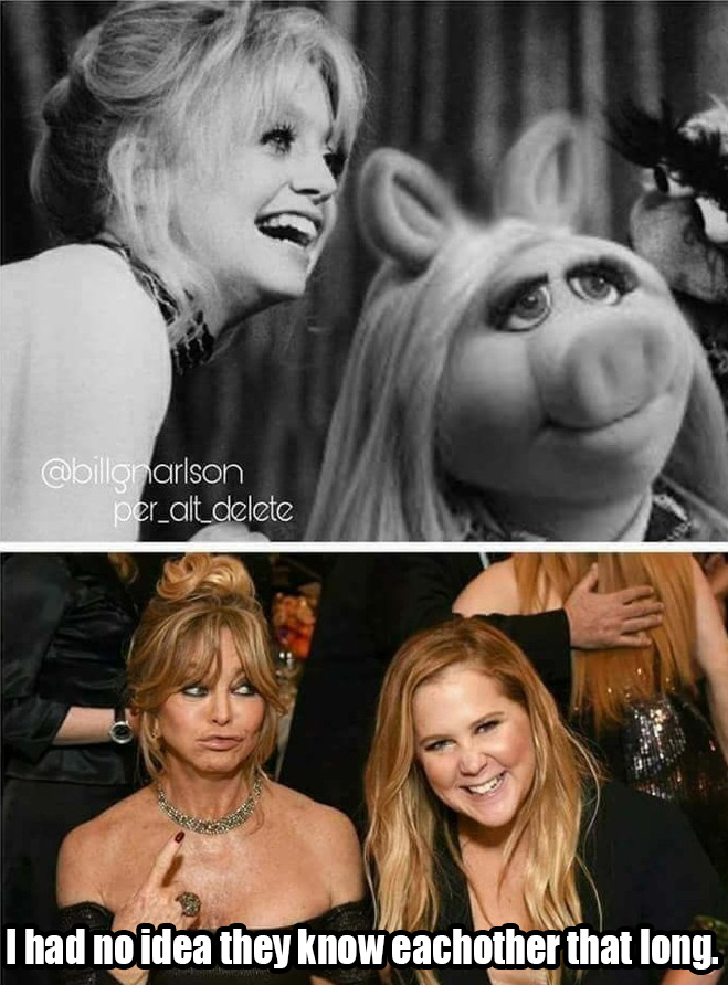 goldie hawn plastic surgery golden globes - per_all_delete I had no idea they know eachother that long.