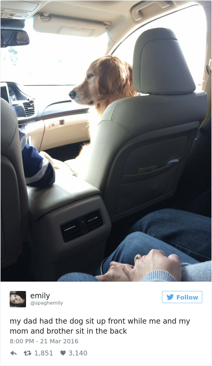 19 Pics Dog Owners Will Relate To