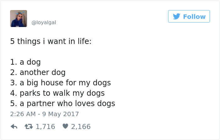 19 Pics Dog Owners Will Relate To