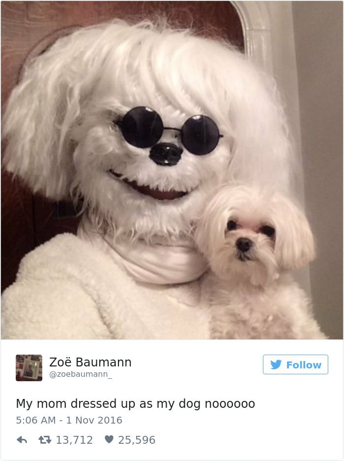 19 Pics Dog Owners Will Relate To