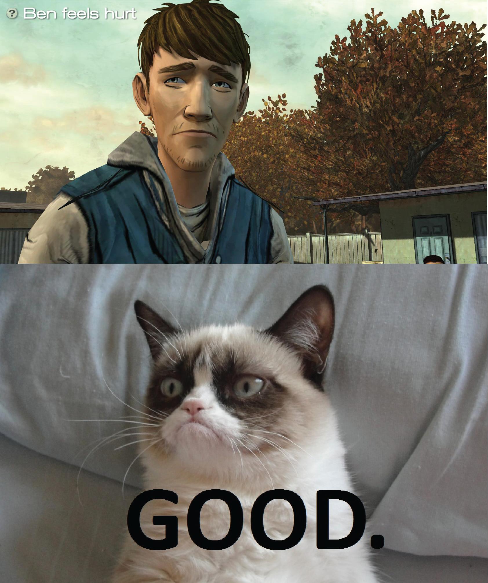 grumpy cat good night meme - ? Ben feels hurt Good.