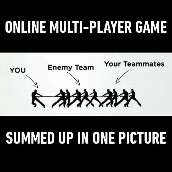gaming humor - Online MultiPlayer Game You Enemy Team Your Teammates Summed Up In One Picture