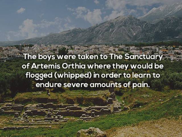 14 Facts That Are Not About Madness But About Sparta