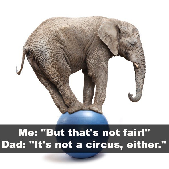 dad jokes - elephant in the classroom - Me "But that's not fair!" Dad "It's not a circus, either."