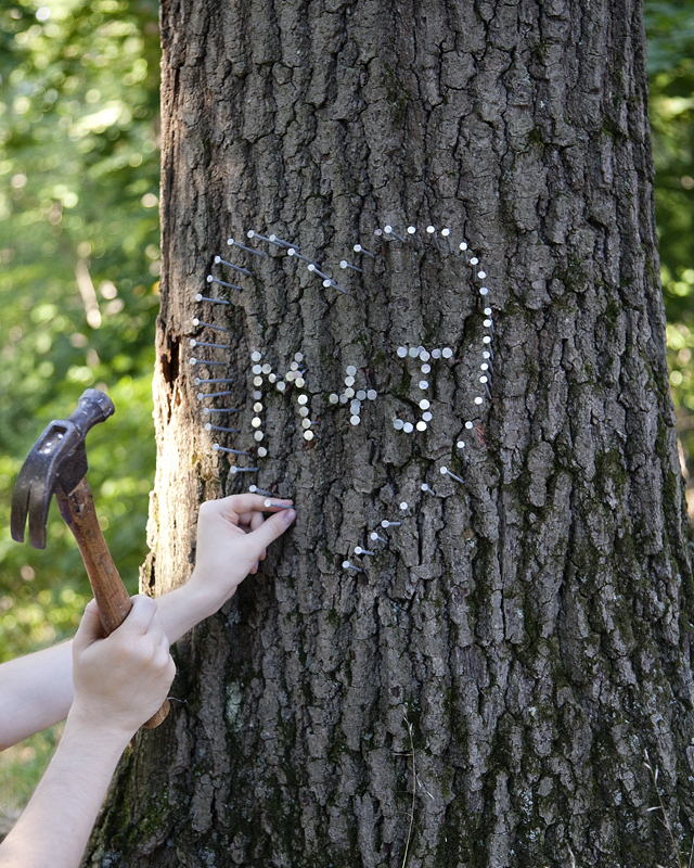 The letters M and J hammered into a tree