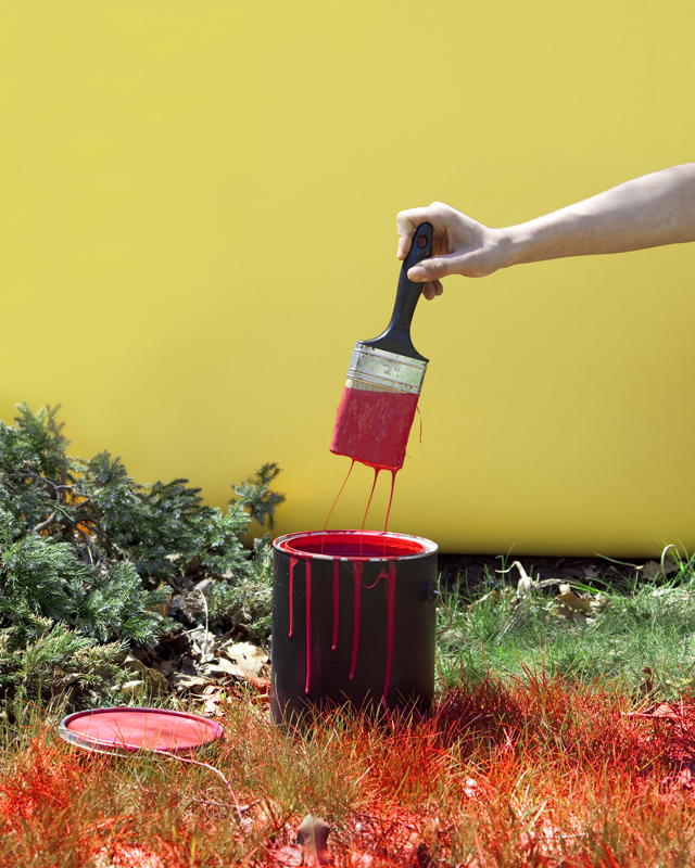 Red paint to turn the lawn red
