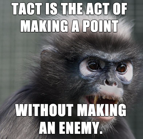 Monkey meme about how tact is the act of making a point without making an enemy.