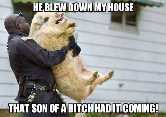 Black cop wrestling and struggling to remove a pig with a caption of him yelling that he blew down his house, alluding that he was going to hurt the work, and that is why the cop is restricting him.