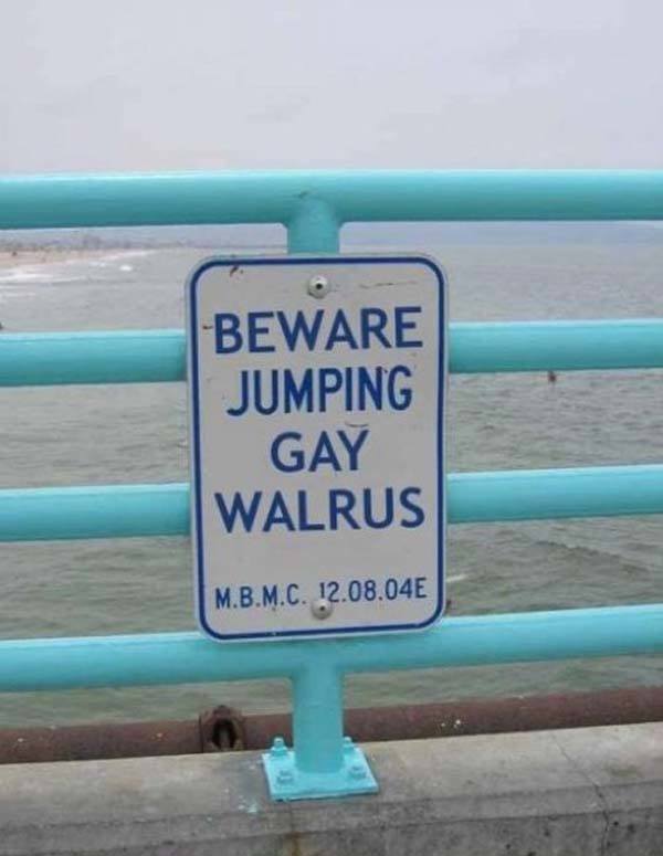 Sign by the sea side BEWARE JUMPING GAY WALRUS