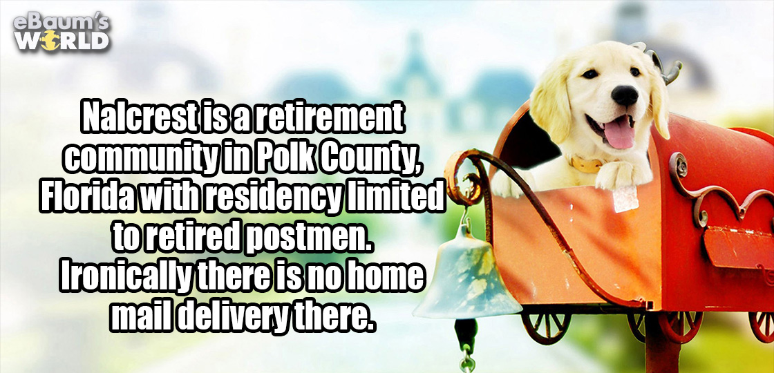 fun fact about Nalcrest retirement community in which is is only retired mailmen, and they don't get mail there.