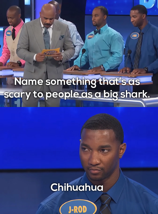 22 Freakishly Funny Family Feud Feedbacks For Frivolous Friday