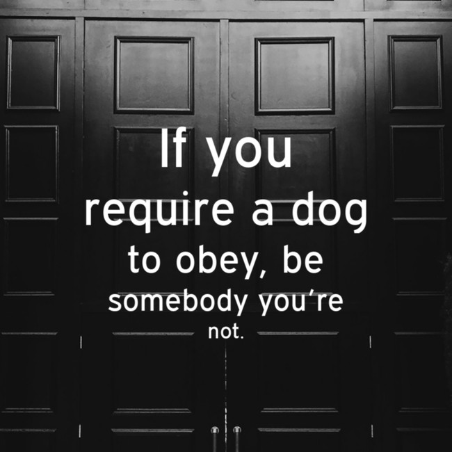 motivational quote monochrome - If you require a dog to obey, be somebody you're not.