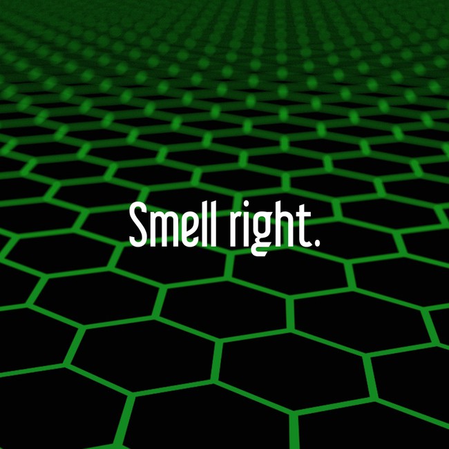 motivational quote honeycomb pattern - Smell right.