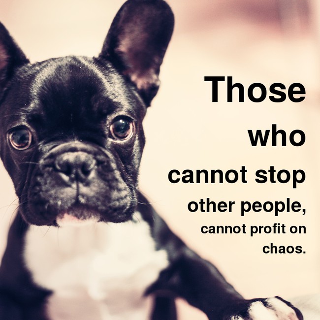 motivational quote Those who cannot stop other people, cannot profit on chaos.