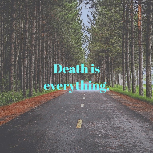 motivational quote nature - Voss . Death is everything