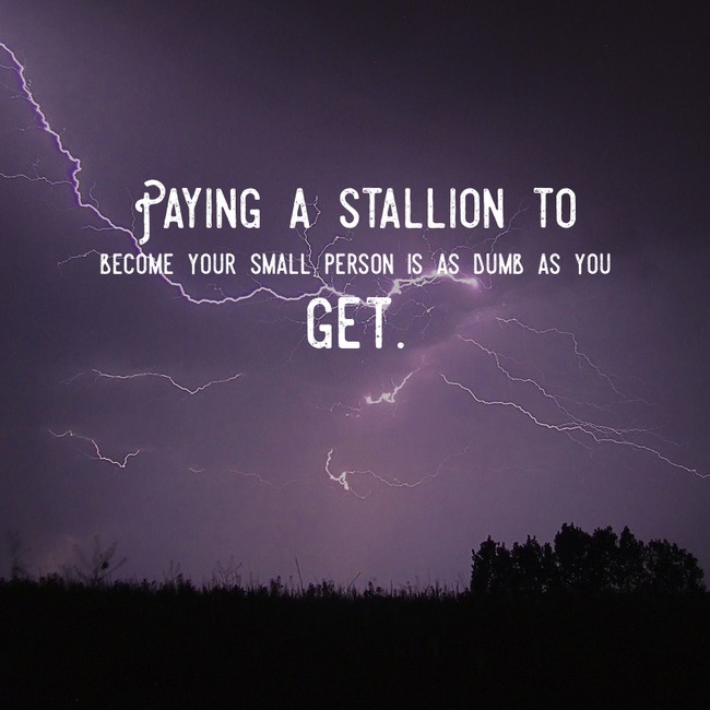 motivational quote randomly generated quotes - Paying A Stallion To Become Your Small Person Is As Dumb As You Get.