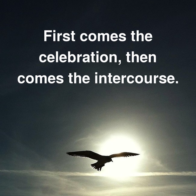 motivational quote inspirational robotics quotes - First comes the celebration, then comes the intercourse.