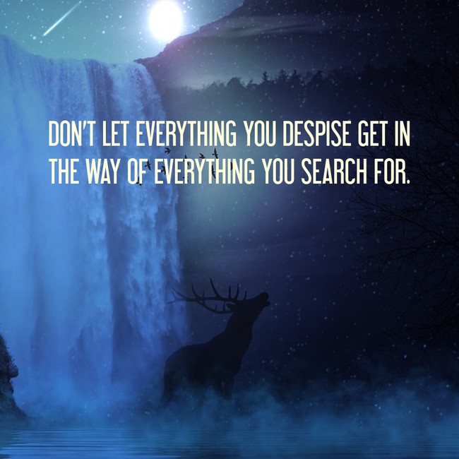 motivational quote nature - Don'T Let Everything You Despise Get In The Way Of Everything You Search For.