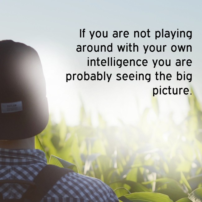 motivational quote tv - If you are not playing around with your own intelligence you are probably seeing the big picture.