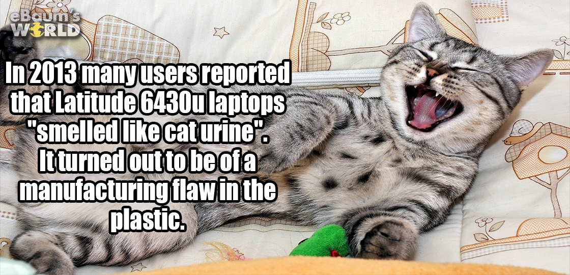 Fun fact about a strange smell of cat urine in 2013 from Latitude 6430u Laptops because of a defect in the plastic casing.