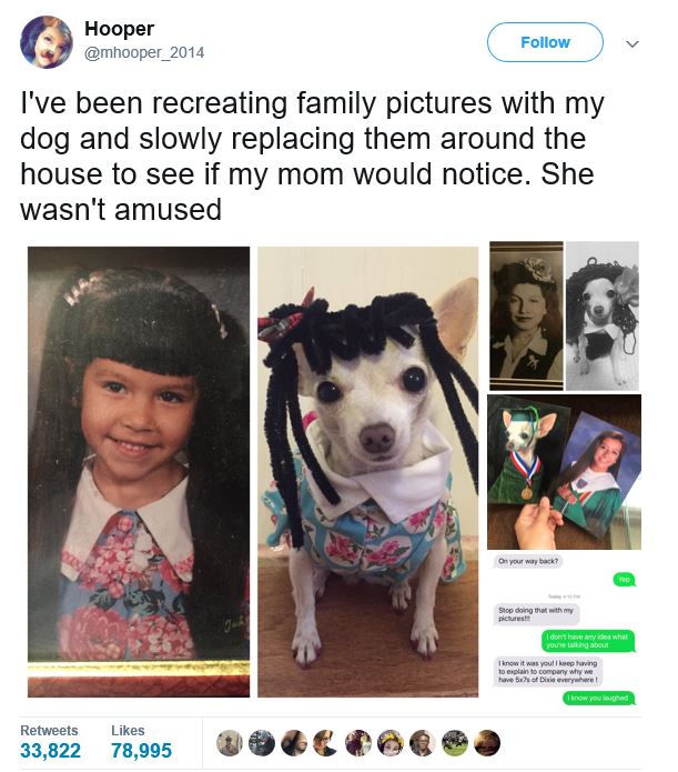 girl pranking her mom with swapping out her pics with the dogs