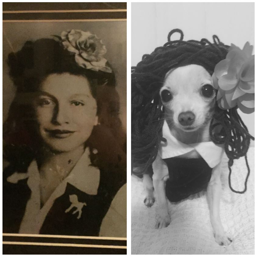 Dog swapped out with grandma's photo