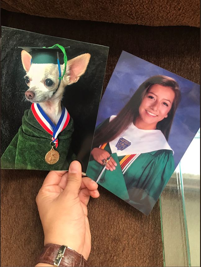Dog graduation photo swap